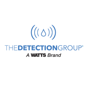 The Detection Group logo